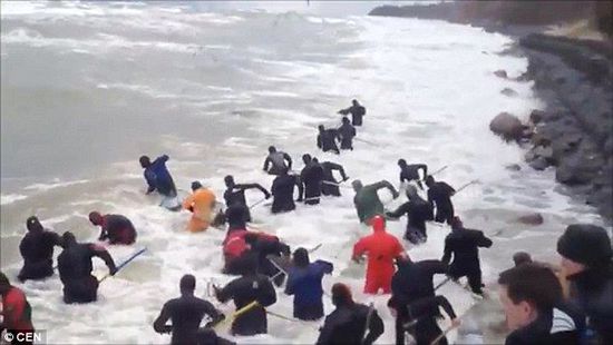 一場暴雨后，俄羅斯加里寧格勒Pionersky鎮(zhèn)，數十人潛入海水中搜尋琥珀。