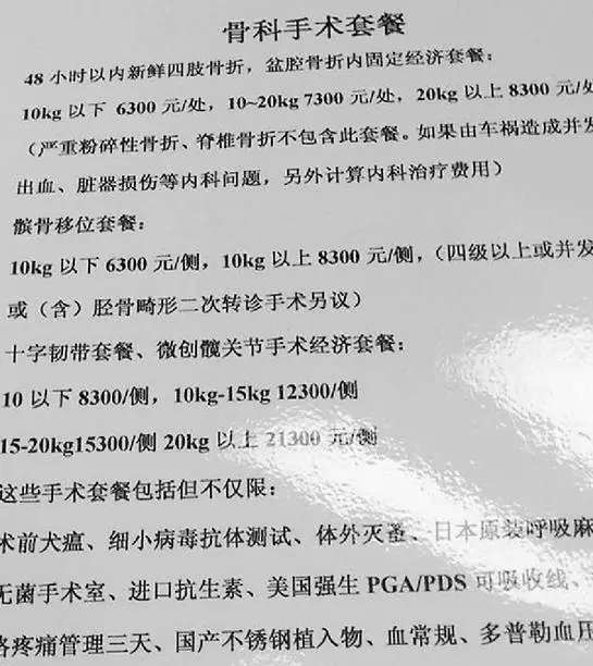 女子為給愛犬治病 從新疆開了4天車還花費5萬5