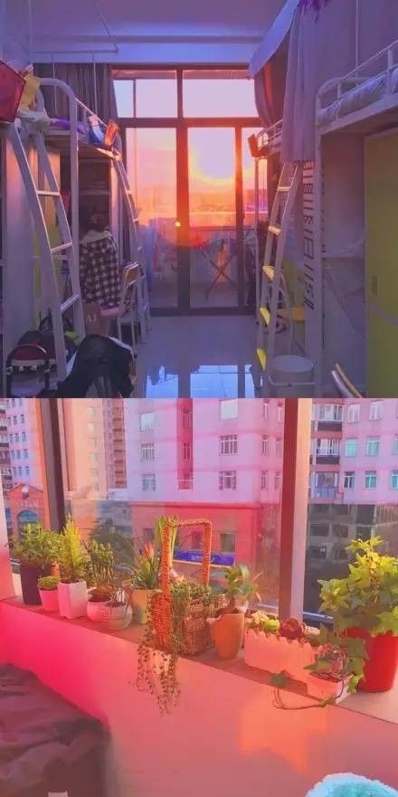 這個(gè)學(xué)校的男生宿舍火了！女同學(xué)都喊著要嫁