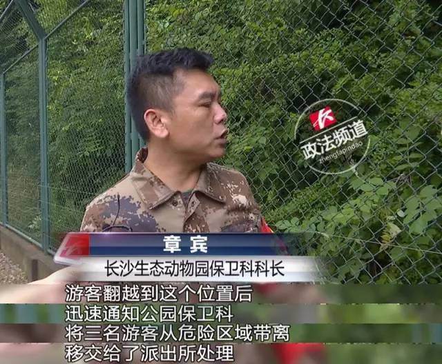 2女1男為逃票翻墻進(jìn)動(dòng)物園 落地時(shí)周圍站了7只虎 2女1男為逃票翻墻進(jìn)動(dòng)物園 落地時(shí)周圍站了7只虎