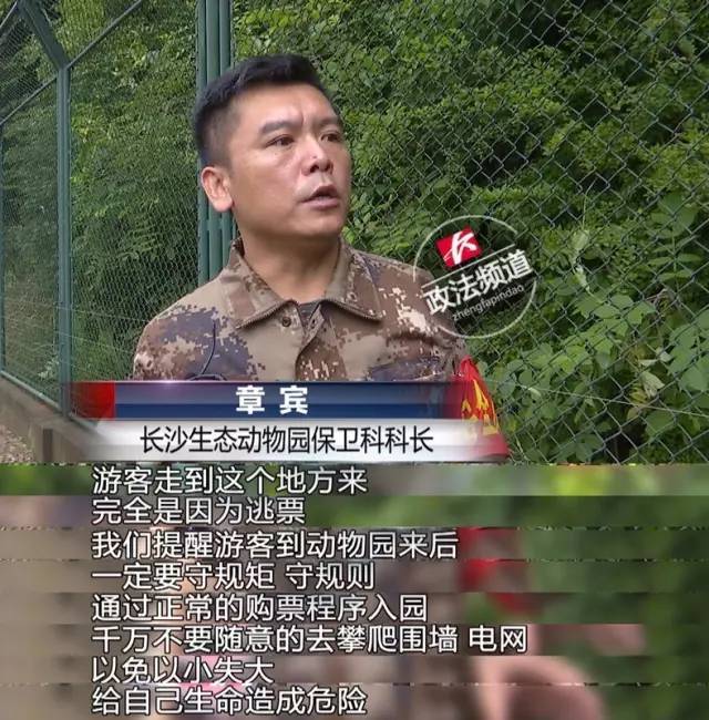 2女1男為逃票翻墻進(jìn)動(dòng)物園 落地時(shí)周圍站了7只虎 2女1男為逃票翻墻進(jìn)動(dòng)物園 落地時(shí)周圍站了7只虎