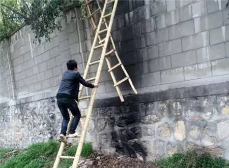 2女1男為逃票翻墻進(jìn)動(dòng)物園 落地時(shí)周圍站了7只虎 2女1男為逃票翻墻進(jìn)動(dòng)物園 落地時(shí)周圍站了7只虎