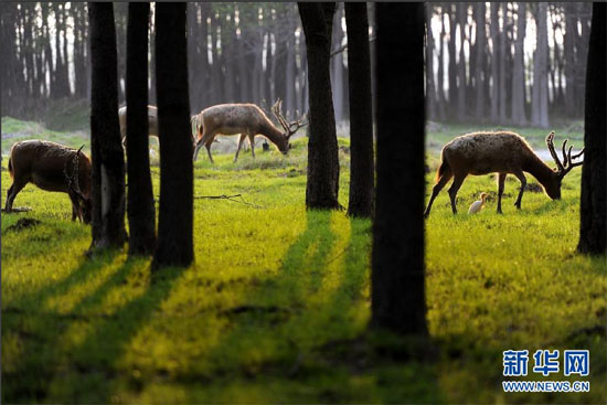 青奧會(huì)指定接待景區(qū) 五大特色景區(qū)開啟青奧之旅 青奧會(huì)指定接待景區(qū) 五大特色景區(qū)開啟青奧之旅