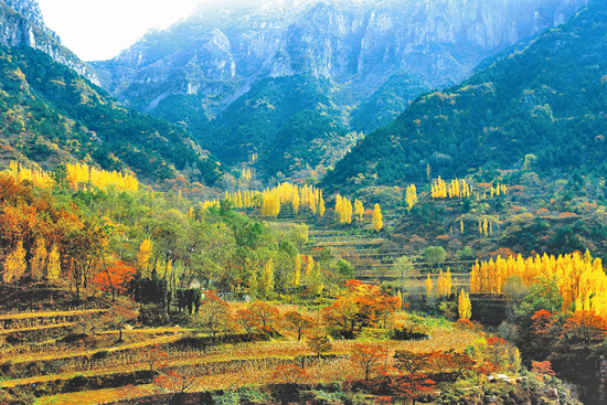 南太行秋色 南太行秋色