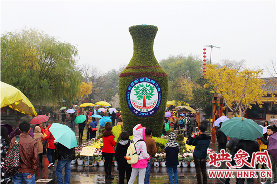 天好、花美 中國開封第32屆菊花文化節(jié)延長一周