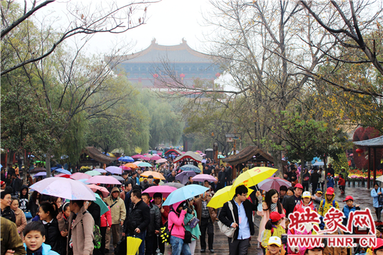 天好、花美 中國開封第32屆菊花文化節(jié)延長一周