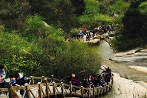 景區(qū)春光 景區(qū)春光