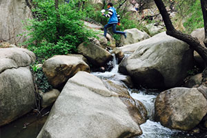 景區(qū)春光 景區(qū)春光