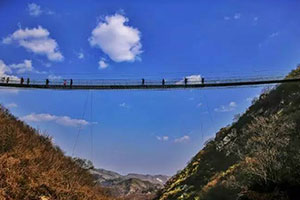 景區(qū)春光 景區(qū)春光