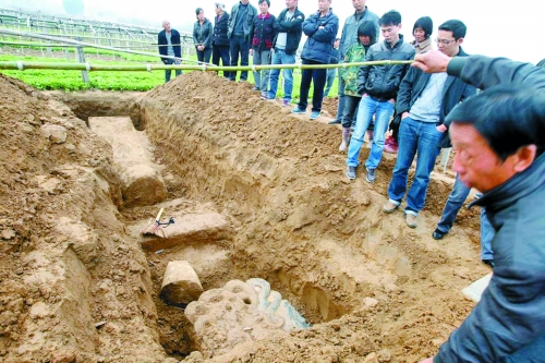 碑帽、赑屃、碑座、碑身依次排開(kāi)