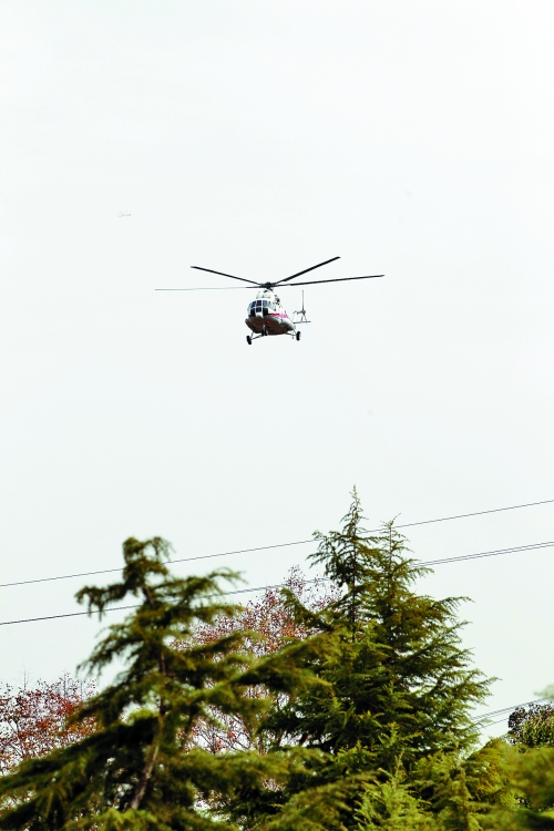 輕拋一點(diǎn)入云去，利眼“鐵鷹”掠地來