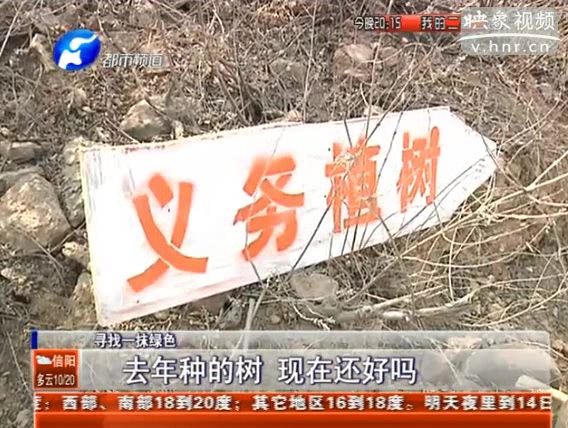 去年種的樹 現(xiàn)在還好嗎？