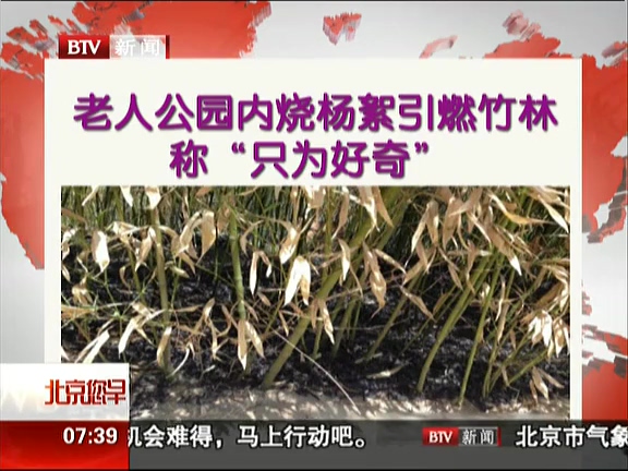 老人公園內(nèi)燒楊絮引燃竹林 稱(chēng)“只為好奇”