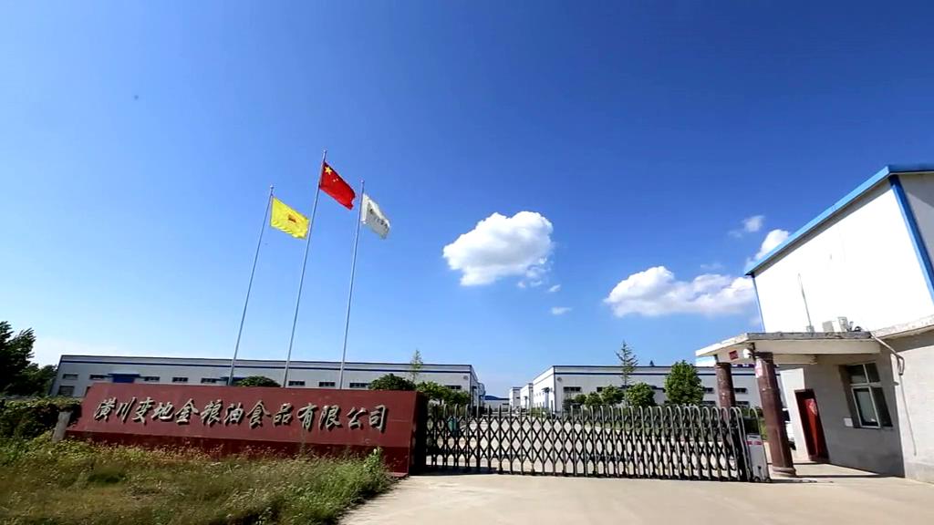 變地金舌尖風宣傳片