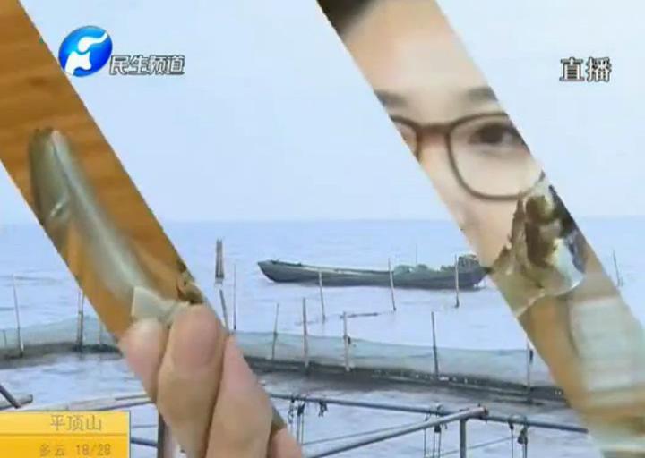 陽(yáng)澄湖大閘蟹？假的！