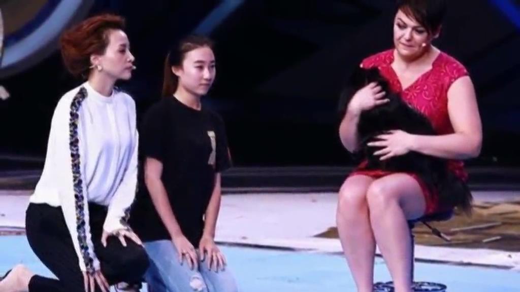 又當(dāng)托？ 董卿節(jié)目現(xiàn)場當(dāng)眾對狗下跪稱被催眠