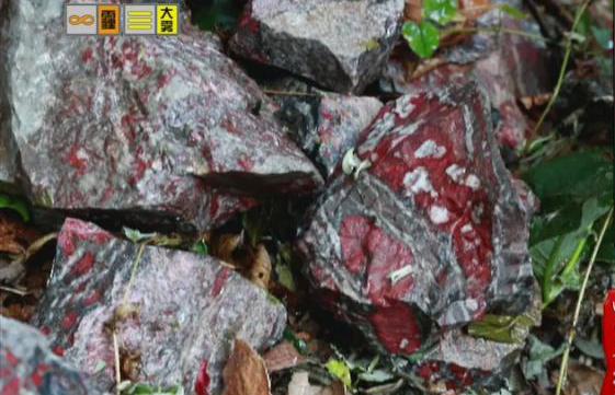 驚！神農(nóng)架無(wú)人區(qū)現(xiàn)神秘玉石
