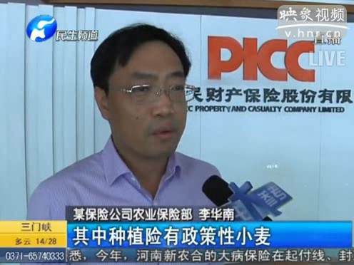 冰雹惹禍 損失能索賠嗎？