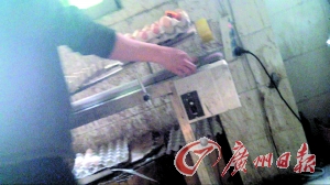 工作人員正在為“土雞蛋”噴日期碼。