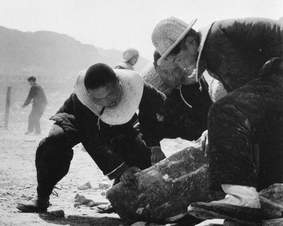 抬石頭，多少人手上都磨出了老繭