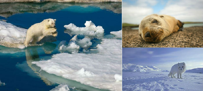 超唯美2014年旅行風(fēng)景日歷 超唯美2014年旅行風(fēng)景日歷